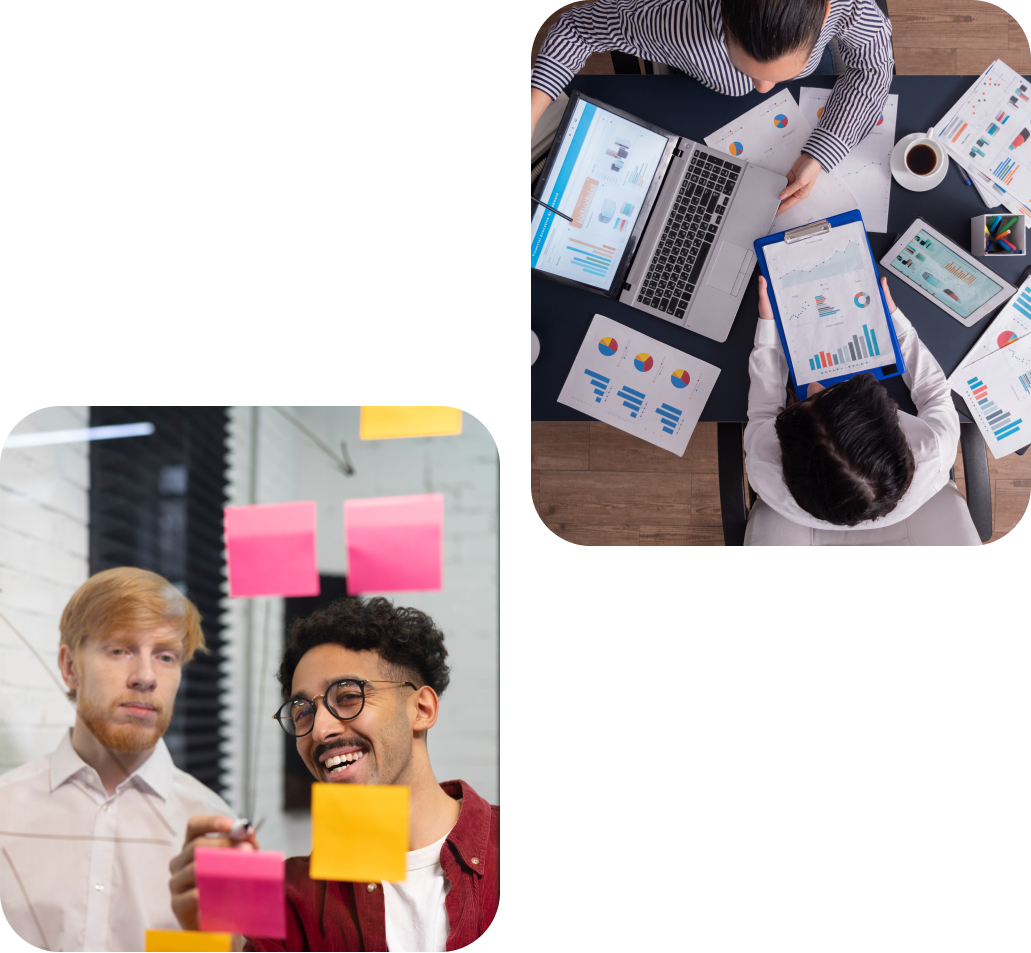 palmgro, digital marketing agency